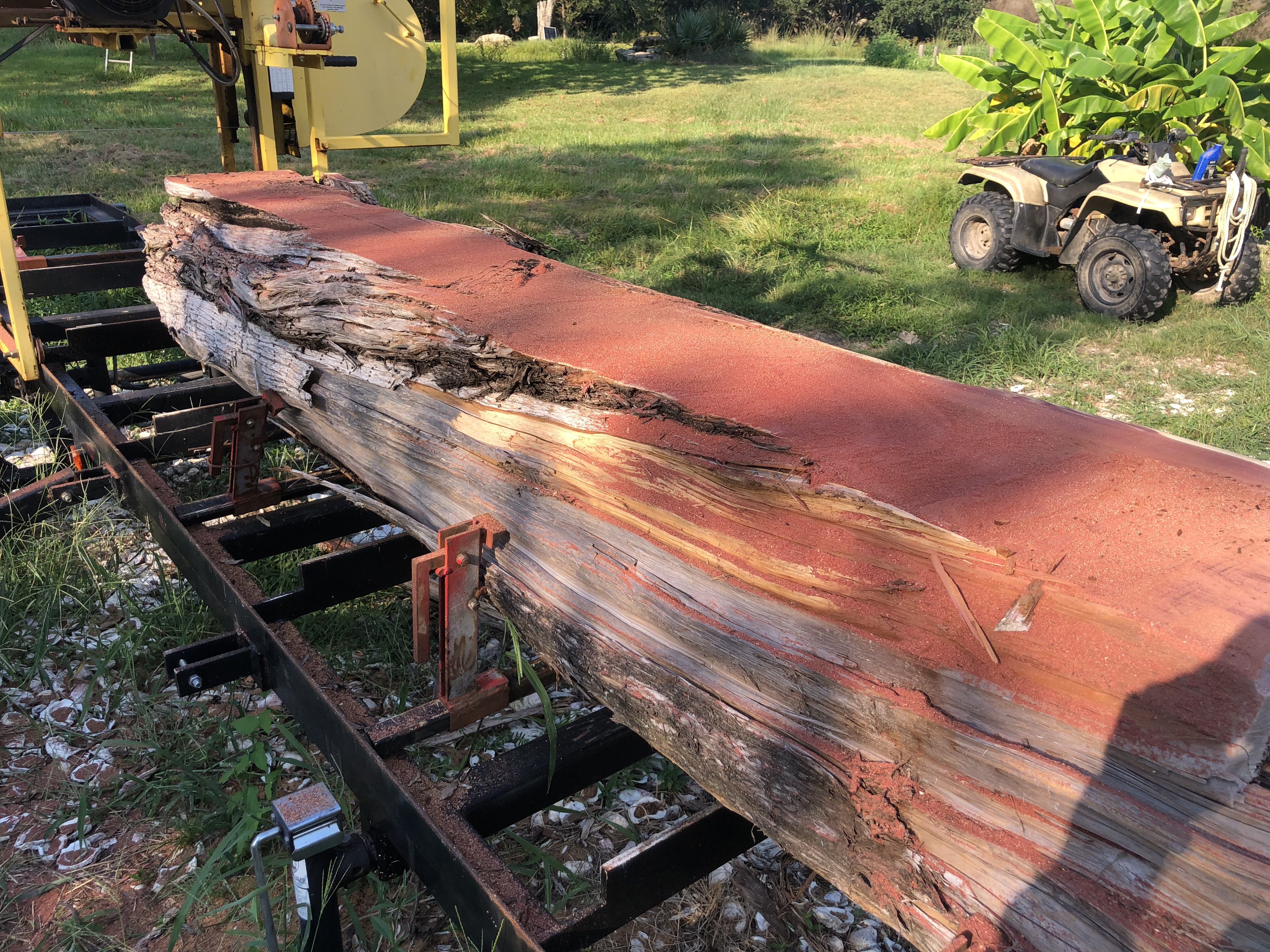 Live edge wood preparation